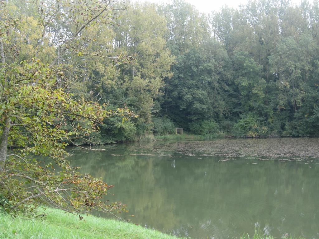 فندق La Coutrotte Becquine Heuilley-sur-Saone المظهر الخارجي الصورة